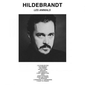 Download track Déjà Hildebrandt