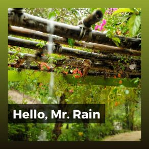 Download track Rain For City Walks, Pt. 4 Relaxing Rain