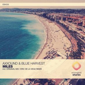 Download track Miles (Extended Mix) Blue Harvest, Axxound