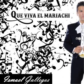 Download track Cuanto Duele Ismael Gallegos Color D' Luna