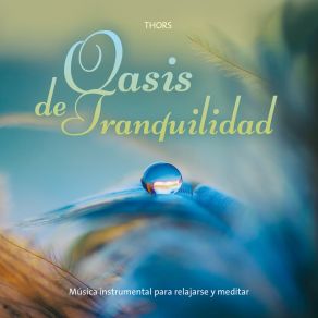 Download track El Lago De La Esperanza The Thorns