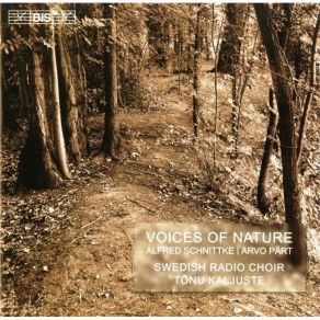 Download track Arvo Pärt - Mother Of God And Virgin Swedish Radio Choir