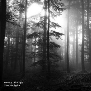 Download track Round (Original Mix) Danny Skripp