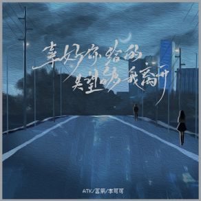 Download track 幸好你给的失望够我离开 李可可