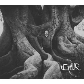 Download track Hopeful Teitur