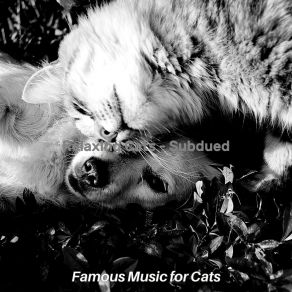 Download track Subdued (Cute Kittens) Famous Music For Cats