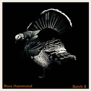 Download track Shoes Thrown Ross Hammond