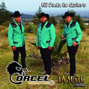 Download track El Corrido Del Diablo Corcel Huasteco