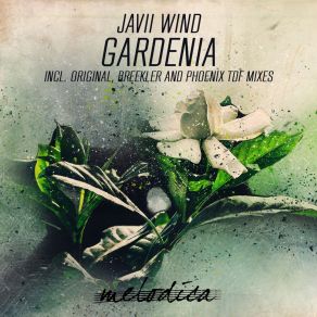 Download track Gardenia (Original Mix) Javii Wind