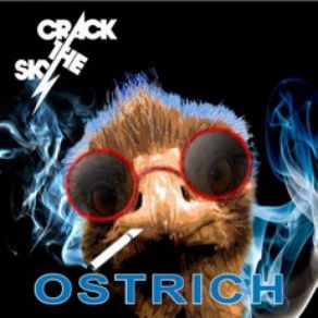 Download track Under The Hood Crack The Sky