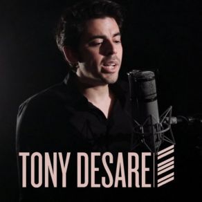 Download track To Make You Feel My Love Tony DeSare