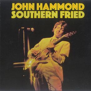 Download track My Time After Awhile Johnny Hammond, John Hammond, John Hammond Jr