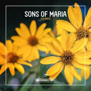 Download track Elevate (Dub Mix) Sons Of Maria