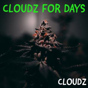 Download track Don't Judge Cloudz