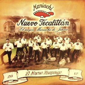 Download track Son De La Vaquilla Mariachi Nuevo Tecatitlan