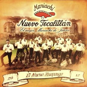 Download track Mexico Magico Mariachi Nuevo Tecatitlan