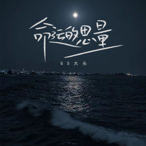 Download track 命运的思量 (Dj范小松版) GS大头