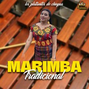 Download track El Cocktelito Marimba TradicionalMarimba