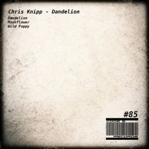 Download track Wild Poppy Chris Knipp