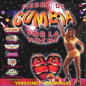 Download track Fiebre De Cumbia Mix Intro