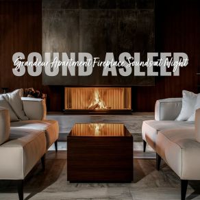 Download track Grandeur Apartment Fireplace Sounds At Night, Pt. 6 Elijah Wagner