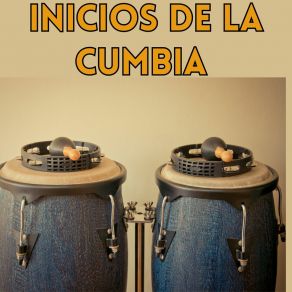 Download track Grandes Cumbias Colombianas Los Palmeros Cumbiamberos