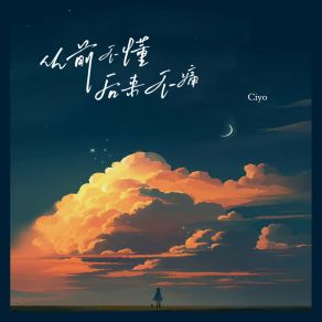 Download track 从前不懂后来不痛 (伴奏) Ciyo