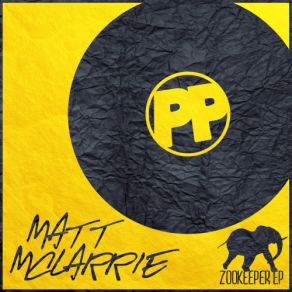 Download track Wingspan (Original Mix) Matt McLarrie