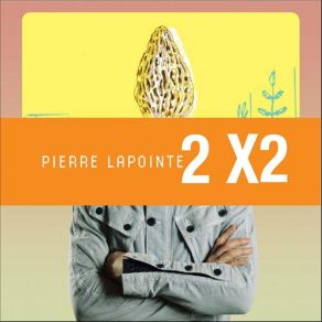 Download track Dans La Forêt Des Mal - Aimés Pierre Lapointe