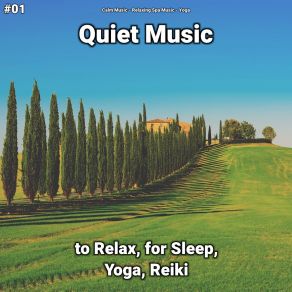 Download track Quiet Music, Pt. 64 Yoga