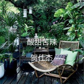 Download track 酸甜苦辣 (伴奏) 贺仕杰