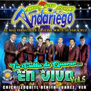 Download track Tu Falta De Querer Su Grupo Andariego