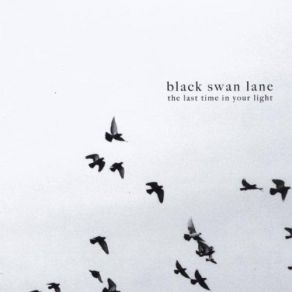 Download track Relax And Breathe Black Swan Lane