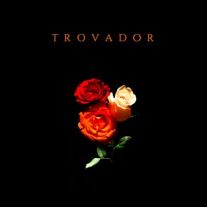 Download track Amor Com Amor Se Paga Trovador Eletrônico