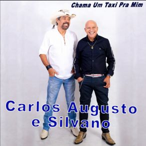 Download track O Voo Do Condor Carlos Augusto E Silvano