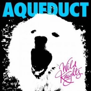 Download track Legend Of Kage Aqueduct