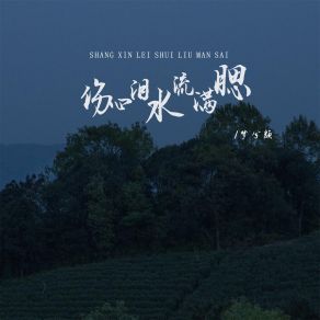 Download track 伤心泪水流满腮 梦兮颜