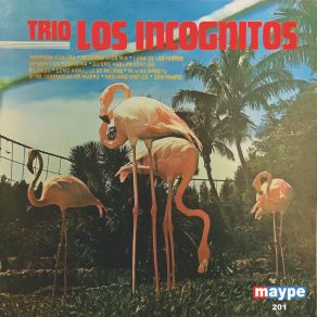 Download track Amorosa Guajira Trio Los Incognitos