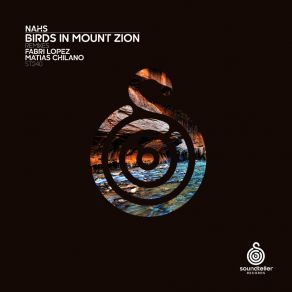 Download track Birds In Mount Zion (Matias Chilano Remix) NahsMatias Chilano