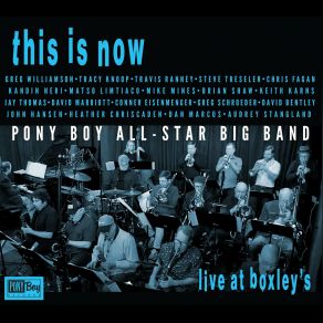 Download track I Won't Dance (Live) Pony Boy All-Star Big Band