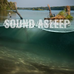 Download track Calming Loon Calls Lakeside Ambience, Pt. 7 Elijah Wagner