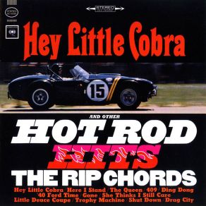 Download track Don't Be Scared (Single B-Side, 1964) The Rip Chords