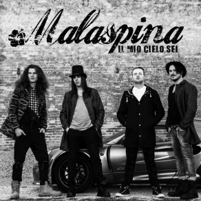 Download track La Sintesi Malaspina