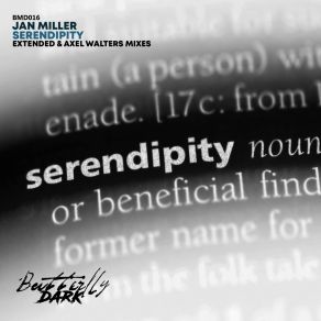 Download track Serendipity (Axel Walters Remix) Jan Miller