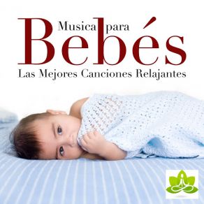 Download track Meditación: Música Para Dormir Canciones Infantiles De NiñosMind Entrainment Doctor