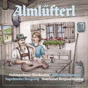 Download track Herzbinggerle Boarische Almmusi, Hohenaschauer Musikanten, Haushamer Bergwachtgsang