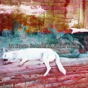 Download track State Of Storm Rain For Deep Sleep