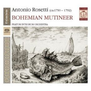 Download track 02. Symphony In D Major (Murray A21). - Andante Scherzante (2nd) Antonio Rosetti