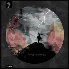 Download track Stormfield (Landhouse Remix) HannesLandhouse