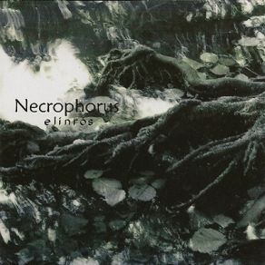 Download track Sal Necrophorus